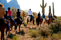 Horseback Riding Goldfield Ghosttown