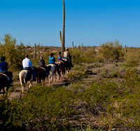 Horseback Riding Goldfield Ghosttown