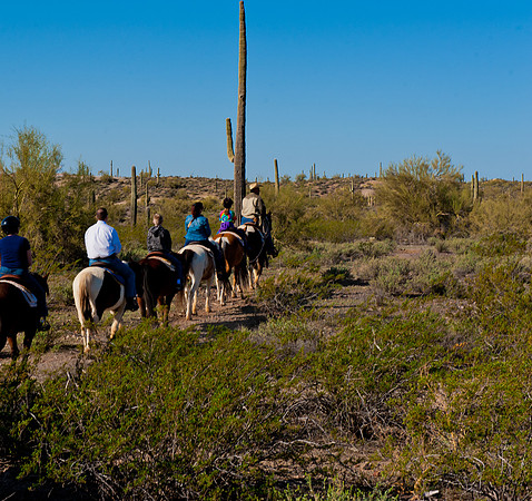 Horseback Riding Goldfield Ghosttown
