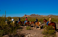 Horseback Riding Goldfield Ghosttown