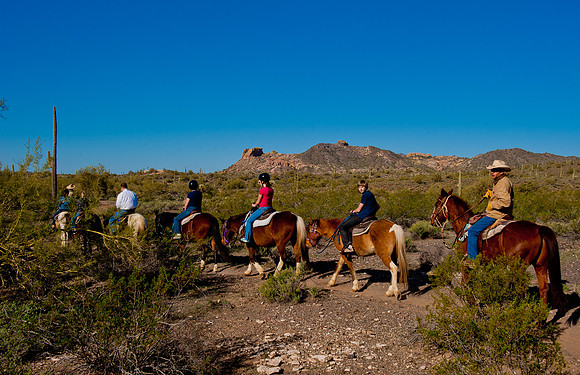 Horseback Riding Goldfield Ghosttown