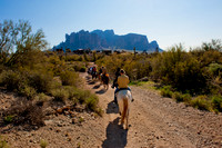 Horseback Riding Goldfield Ghosttown