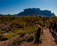 Horseback Riding Goldfield Ghosttown