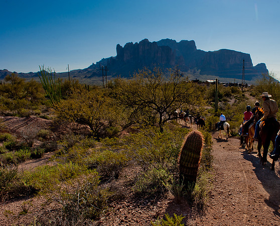 Horseback Riding Goldfield Ghosttown