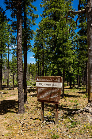 Mogollon Rim