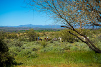 Fort Mcdowell Adventures-2059