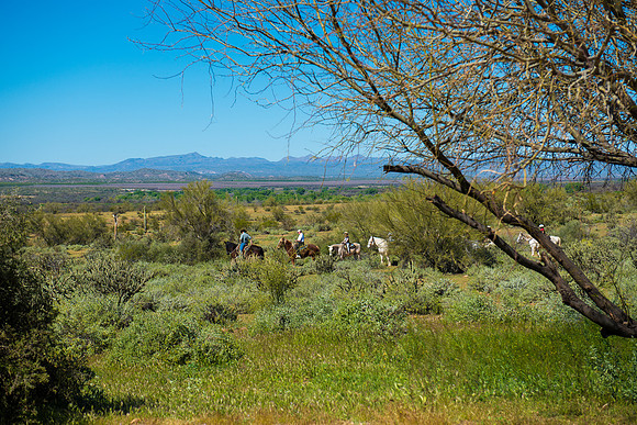 Fort Mcdowell Adventures-2059