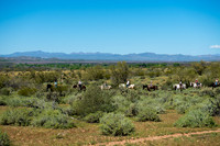 Fort Mcdowell Adventures-2064