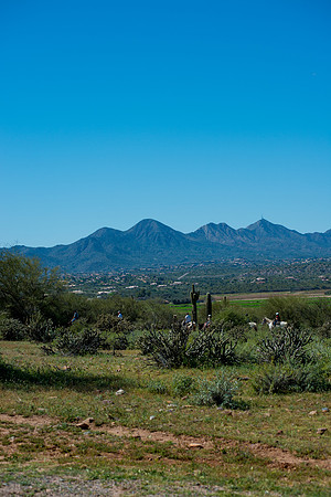 Fort Mcdowell Adventures-2106
