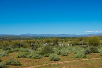 Fort Mcdowell Adventures-2068