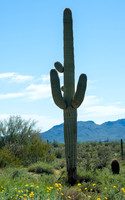 Fort Mcdowell Adventures-2132