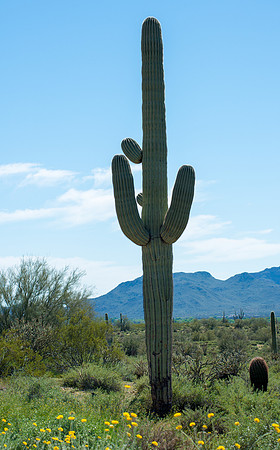 Fort Mcdowell Adventures-2132