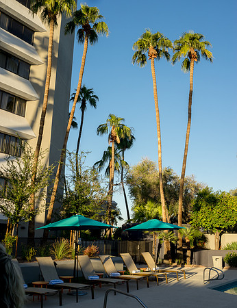 Delta Mesa Hotel-86