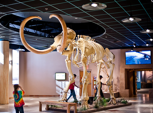 Arizona Museum of Natural History