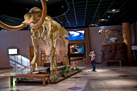 Arizona Museum of Natural History