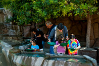 Arizona Museum of Natural History