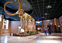 Arizona Museum of Natural History