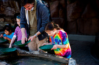Arizona Museum of Natural History