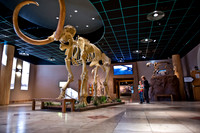 Arizona Museum of Natural History