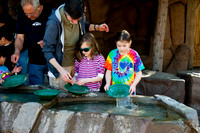 Arizona Museum of Natural History