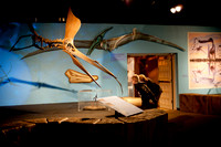 Arizona Museum of Natural History