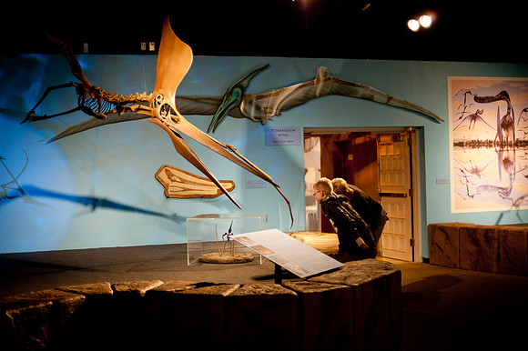 Arizona Museum of Natural History