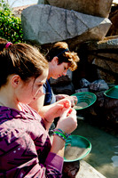 Arizona Museum of Natural History