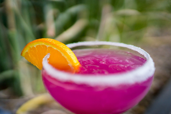 Modern Margarita-54