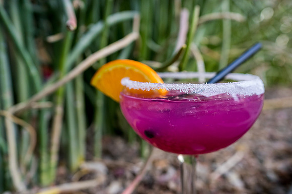Modern Margarita-49