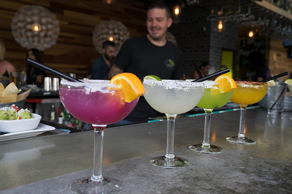 Modern Margarita-22