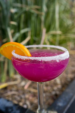 Modern Margarita-52