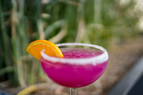 Modern Margarita-55