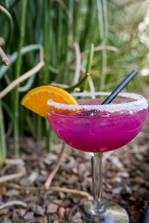 Modern Margarita-48