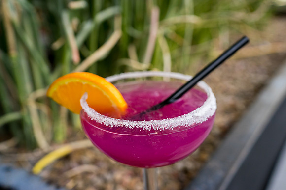 Modern Margarita-51