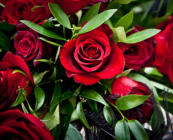 2011FoskettCreative-0987