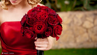 2011FoskettCreative-0486