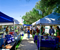 2011-4 Mesa CVB-166