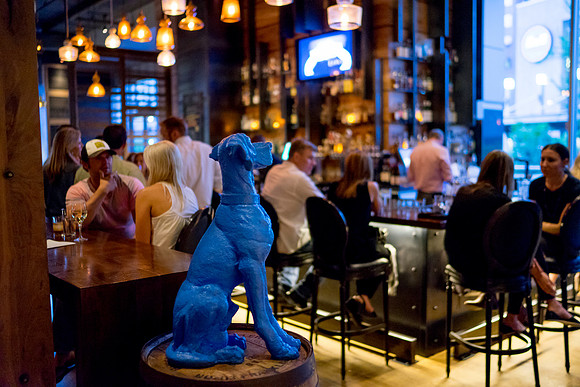 Blue Hound Kitchen