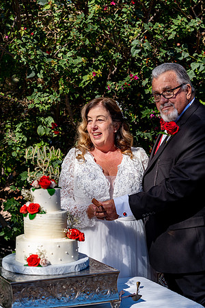 2026.2.14 Goldberg Creative-5701