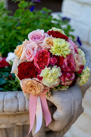2026.2.14 Goldberg Creative-5849