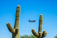 Mesa-Phoenix Gateway Airport 2015-8