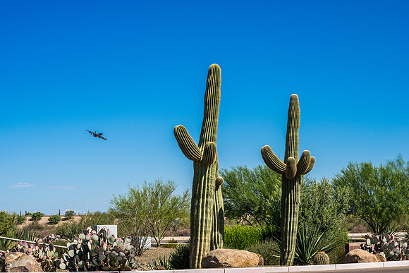Mesa-Phoenix Gateway Airport 2015-7