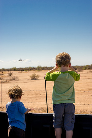 Mesa-Phoenix Gateway Airport 2015-19