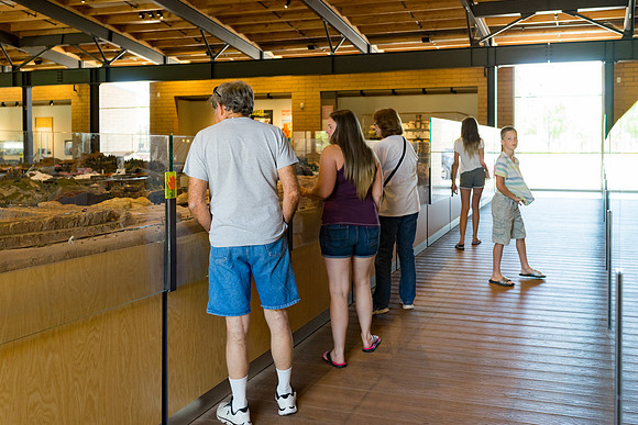 McCormick-Stillman Railroad Park
