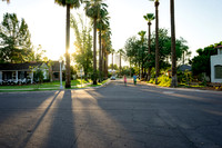 Encanto-Palmcroft-191