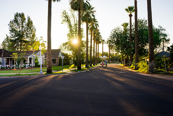 Encanto-Palmcroft-342