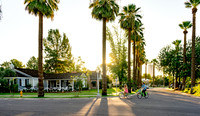 Encanto-Palmcroft-201