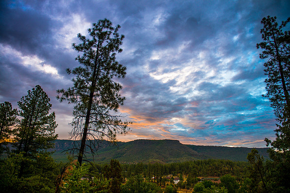 Mogollon Rim