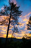 Foskett Creative Photography  -342