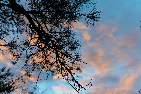 Foskett Creative Photography  -346